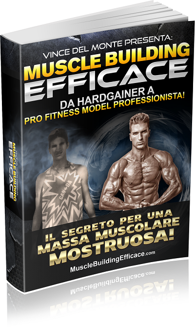 muscle building efficace 